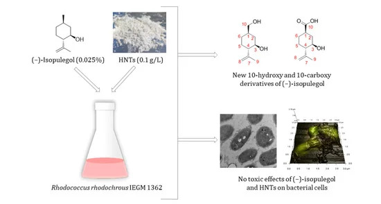 pharmaceuticals 15 00964 ag 550