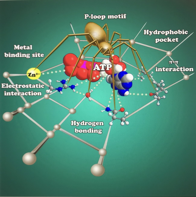 chem.201802978 650