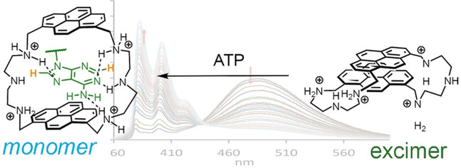 chem202001523 toc 0001 m