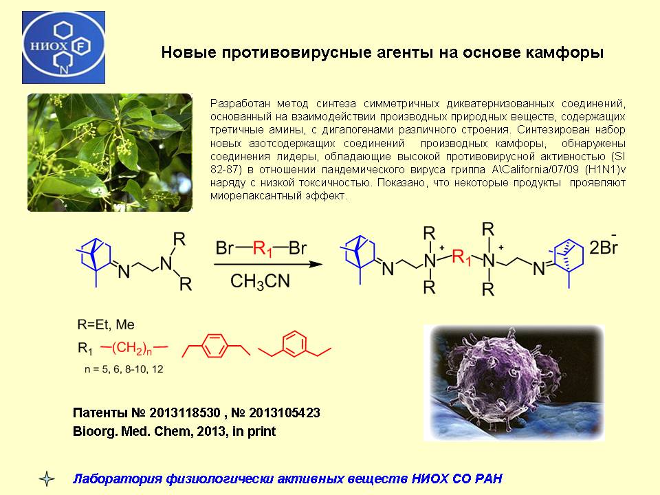 Новые противовирусные агенты на основе камфоры