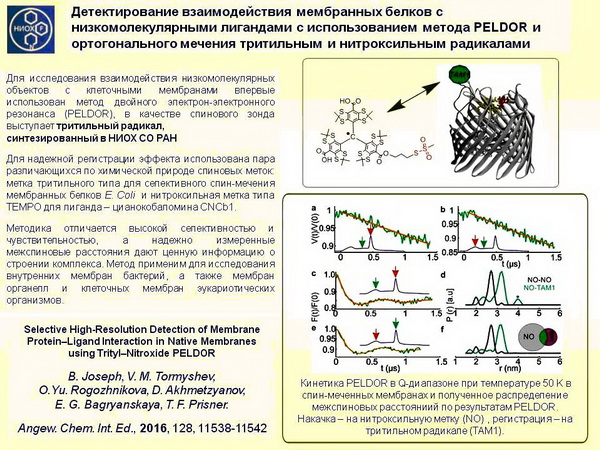 2016 - основные результаты