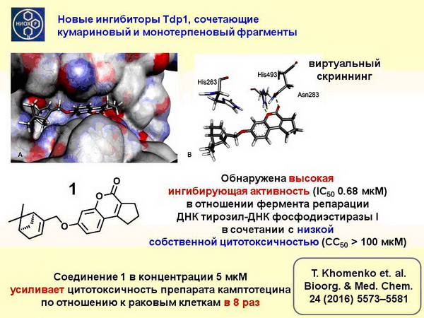 2016 - основные результаты