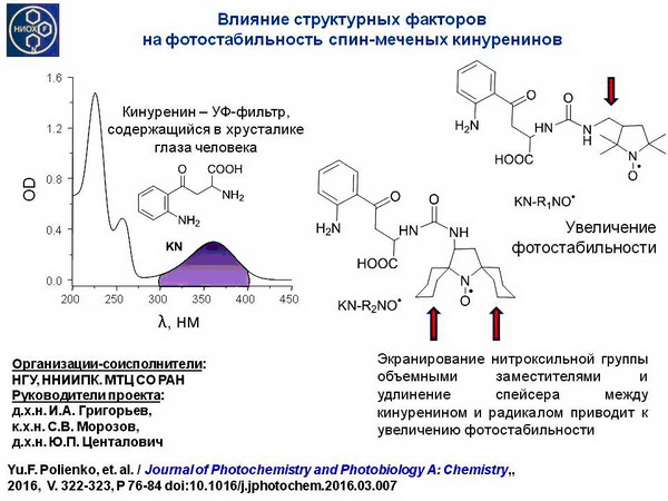 2016 - основные результаты