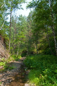 Нариман Фаридович Салахутдинов: интервью