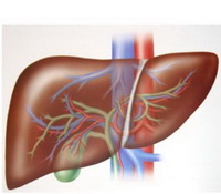 med_cosm_betamide_2