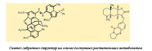 met_compl_catalysis_2
