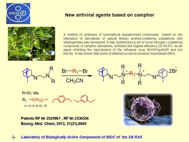 New antiviral agents based on camphor