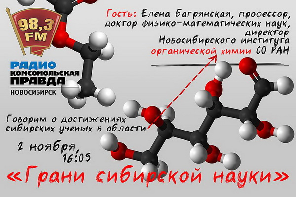 Ученые из Новосибирского института органической химии добились весомых и практически применимых результатов по многим направлениям 